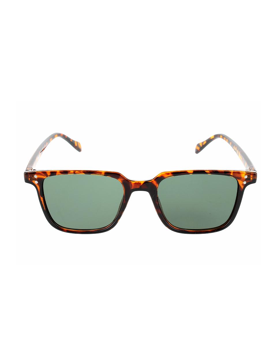 Gafas Polarizadas TY3246 Blogger