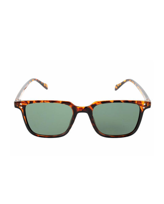 Gafas Polarizadas TY3246 Blogger