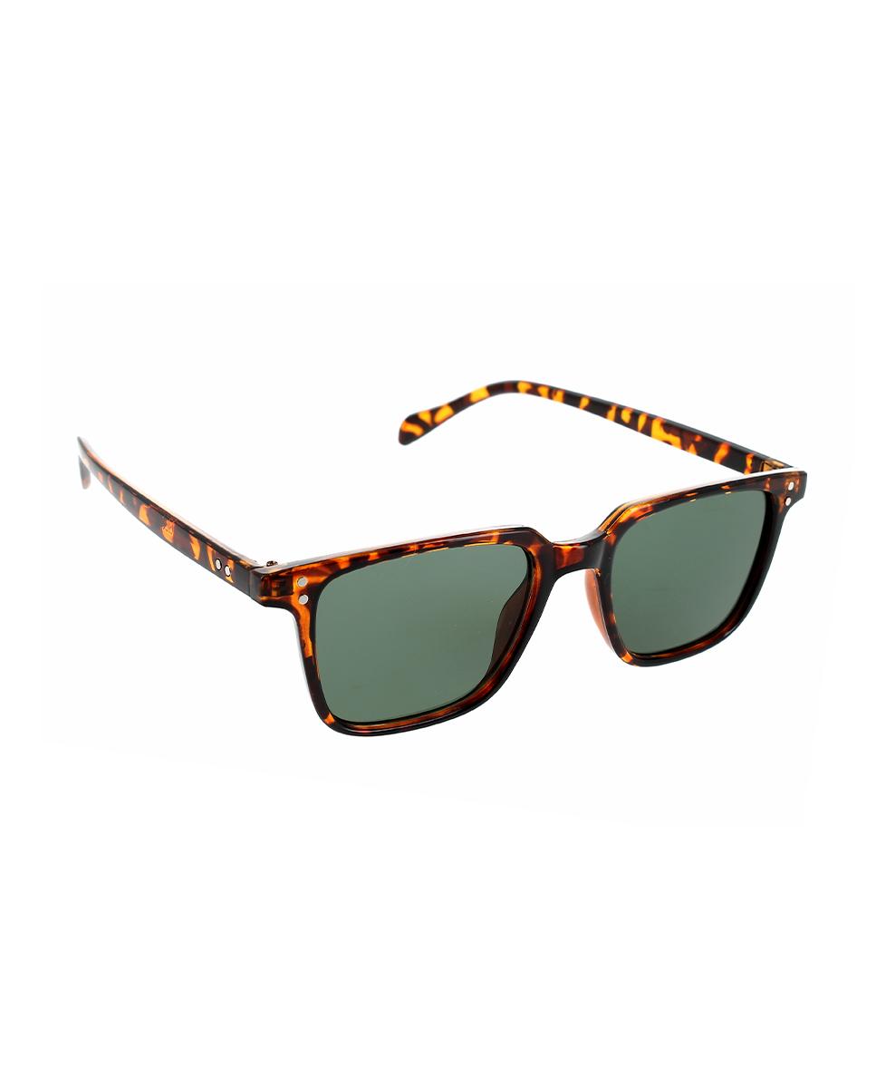 Gafas Polarizadas TY3246 Blogger