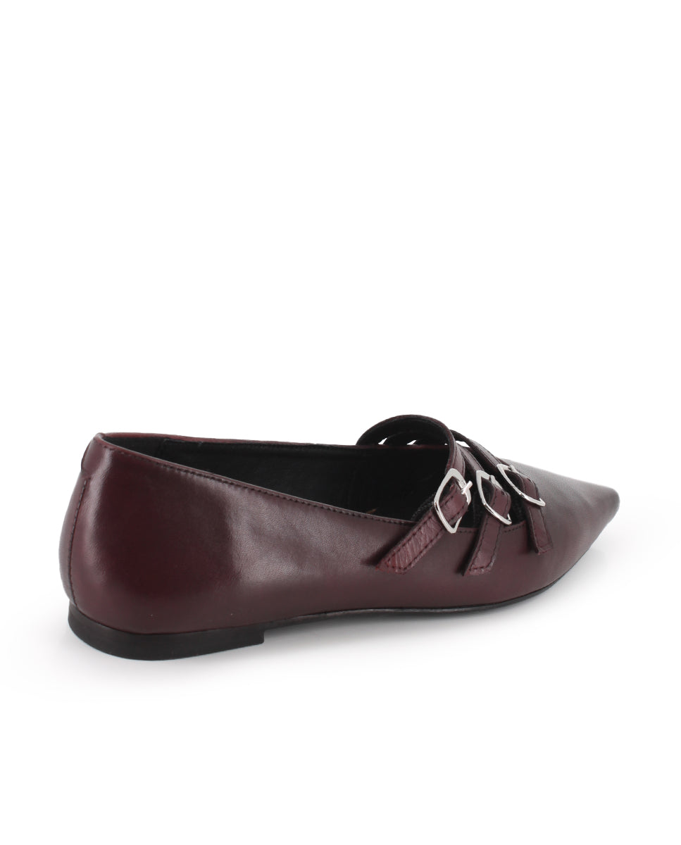 Bailarinas Matricciana Blogger